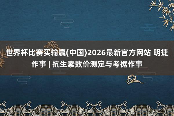 世界杯比赛买输赢(中国)2026最新官方网站 明捷作事 | 抗生素效价测定与考据作事