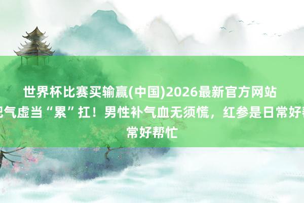 世界杯比赛买输赢(中国)2026最新官方网站 别把气虚当“累”扛！男性补气血无须慌，红参是日常好帮忙