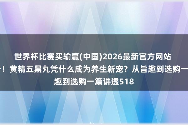 世界杯比赛买输赢(中国)2026最新官方网站 熬夜党必看！黄精五黑丸凭什么成为养生新宠？从旨趣到选购一篇讲透518