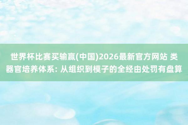 世界杯比赛买输赢(中国)2026最新官方网站 类器官培养体系: 从组织到模子的全经由处罚有盘算