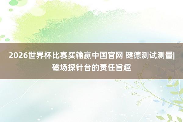 2026世界杯比赛买输赢中国官网 键德测试测量|磁场探针台的责任旨趣