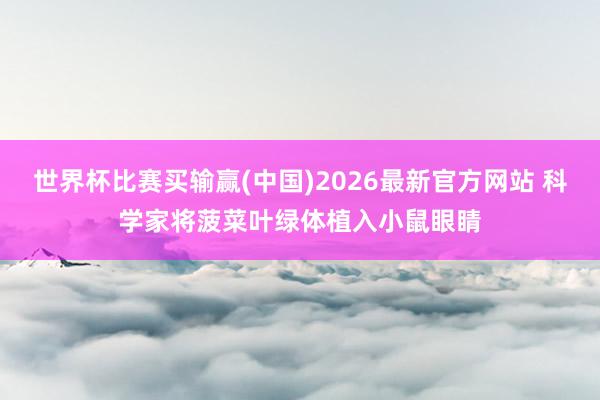 世界杯比赛买输赢(中国)2026最新官方网站 科学家将菠菜叶绿体植入小鼠眼睛