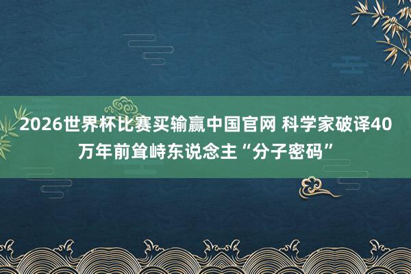 2026世界杯比赛买输赢中国官网 科学家破译40万年前耸峙东说念主“分子密码”