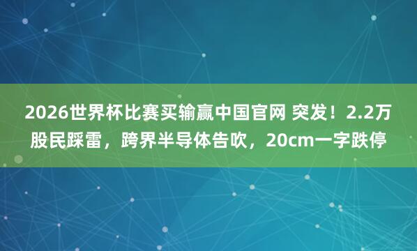 2026世界杯比赛买输赢中国官网 突发！2.2万股民踩雷，跨界半导体告吹，20cm一字跌停