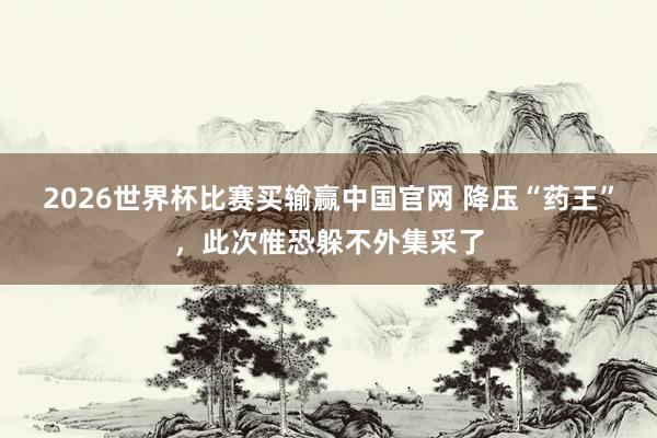 2026世界杯比赛买输赢中国官网 降压“药王”，此次惟恐躲不外集采了