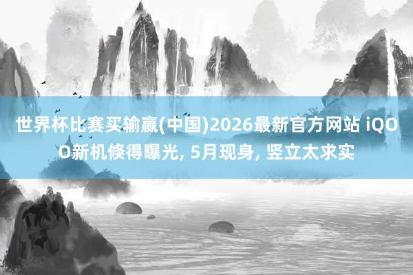 世界杯比赛买输赢(中国)2026最新官方网站 iQOO新机倏得曝光， 5月现身， 竖立太求实
