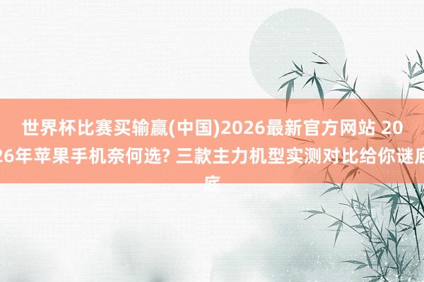 世界杯比赛买输赢(中国)2026最新官方网站 2026年苹果手机奈何选? 三款主力机型实测对比给你谜底