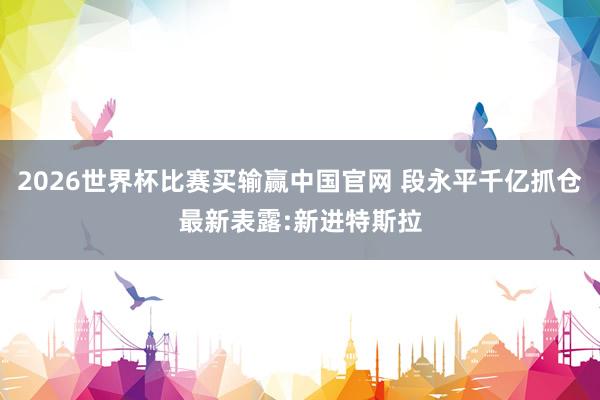 2026世界杯比赛买输赢中国官网 段永平千亿抓仓最新表露:新进特斯拉