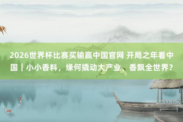 2026世界杯比赛买输赢中国官网 开局之年看中国｜小小香料，缘何撬动大产业、香飘全世界？