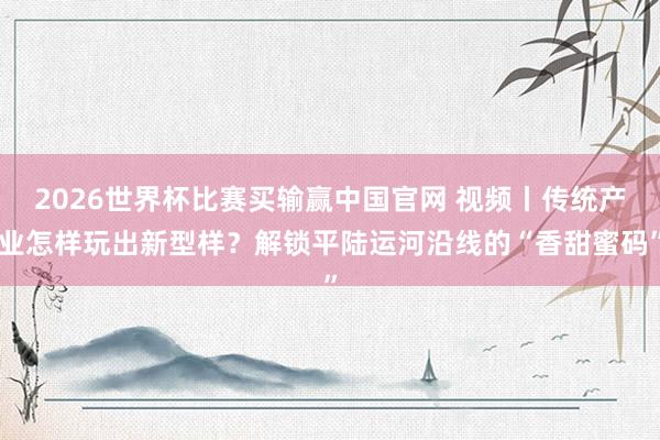 2026世界杯比赛买输赢中国官网 视频丨传统产业怎样玩出新型样？解锁平陆运河沿线的“香甜蜜码”