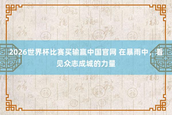 2026世界杯比赛买输赢中国官网 在暴雨中，看见众志成城的力量