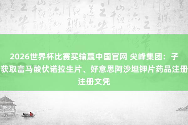 2026世界杯比赛买输赢中国官网 尖峰集团：子公司获取富马酸伏诺拉生片、好意思阿沙坦钾片药品注册文凭