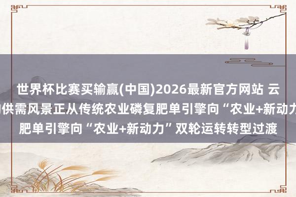 世界杯比赛买输赢(中国)2026最新官方网站 云天化: 现在， 磷矿石的供需风景正从传统农业磷复肥单引擎向“农业+新动力”双轮运转转型过渡