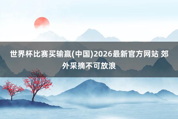 世界杯比赛买输赢(中国)2026最新官方网站 郊外采摘不可放浪