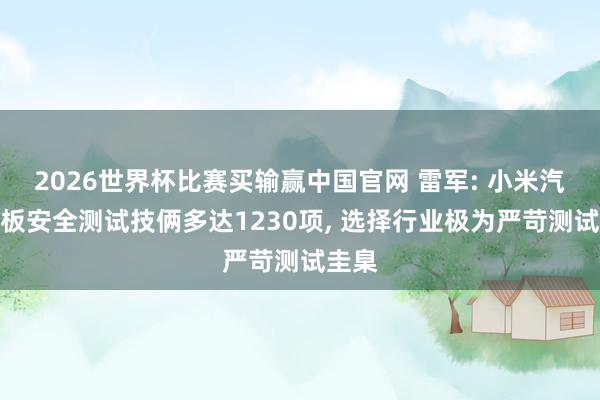 2026世界杯比赛买输赢中国官网 雷军: 小米汽车电板安全测试技俩多达1230项， 选择行业极为严苛测试圭臬