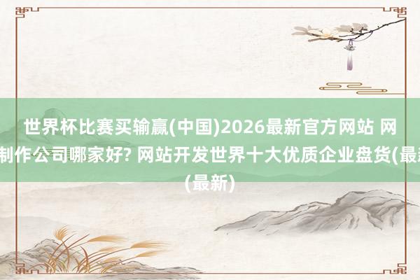 世界杯比赛买输赢(中国)2026最新官方网站 网站制作公司哪家好? 网站开发世界十大优质企业盘货(最新)