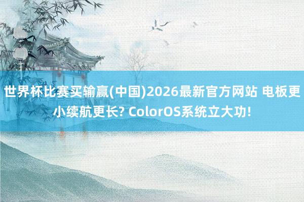 世界杯比赛买输赢(中国)2026最新官方网站 电板更小续