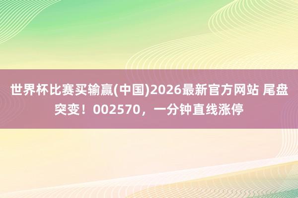 世界杯比赛买输赢(中国)2026最新官方网站 尾盘突变！002570，一分钟直线涨停
