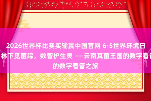 2026世界杯比赛买输赢中国官网 6·5世界环境日特刊 | 林下觅菌踪,数智护生灵 ——云南真菌王国的数字看管之旅