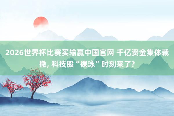 2026世界杯比赛买输赢中国官网 千亿资金集体裁撤, 科技股“裸泳”时刻来了?