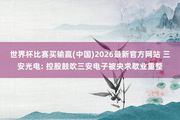 世界杯比赛买输赢(中国)2026最新官方网站 三安光电: 控股鼓吹三安电子被央求歇业重整