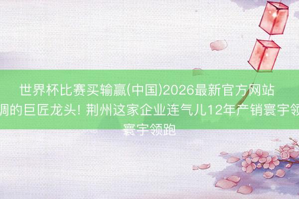 世界杯比赛买输赢(中国)2026最新官方网站 低调的巨匠龙头! 荆州这家企业连气儿12年产销寰宇领跑